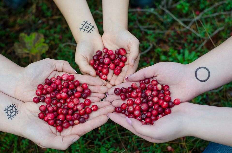 Cranberry für Potenz